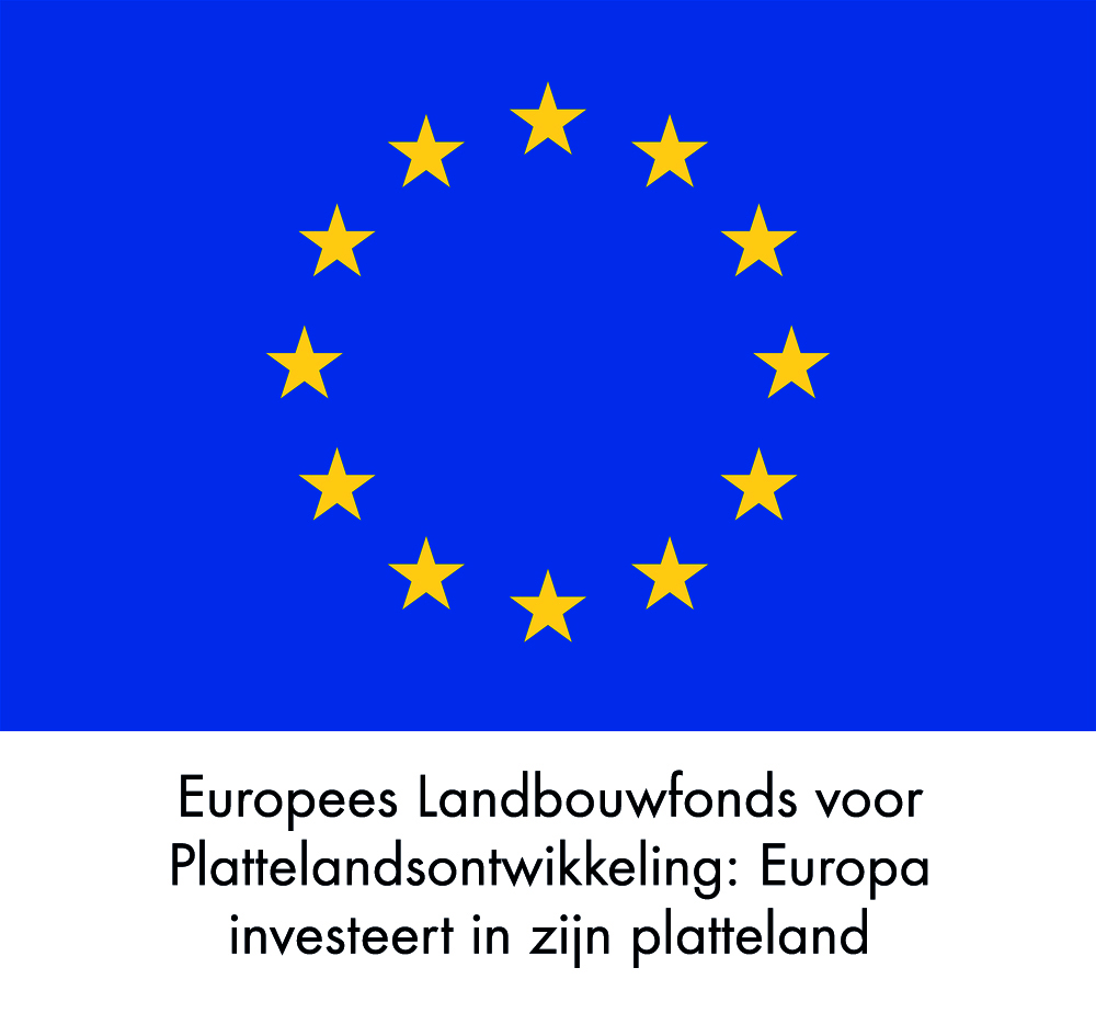 EU Logo POP 3